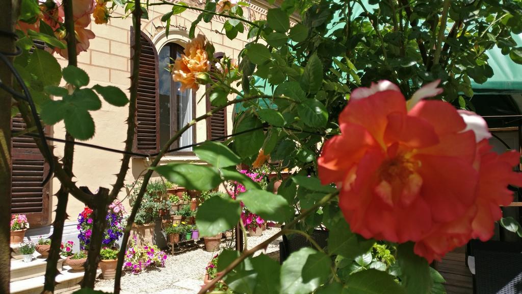 La Chicca B&B Siena Kültér fotó