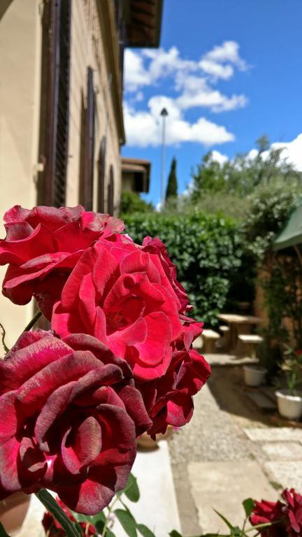 La Chicca B&B Siena Kültér fotó